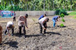 Polres Banggai tanam jagung di lahan 11 hektare