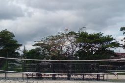 Pemprov Maluku bangun dua lapangan voli pantai untuk fasilitas PPLPD