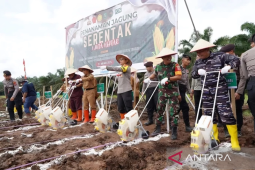 Pemkab Kutim dukung totalitas swasembada pangan 2025