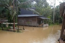Banjir di Bengkayang meluas di wilayah perbatasan