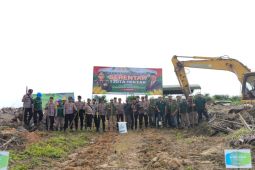 PT AAL kembangkan tumpang sisip jagung dan kelapa sawit