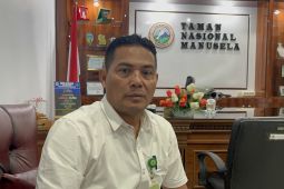 Tingkatkan kualitas pelayanan, Balai Taman Nasional Manusela gunakan aplikasi Simaksi "online"