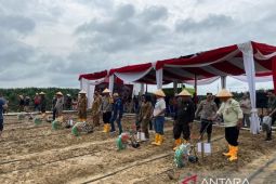 PT BrahmaBinaBakti mendukung program pemerintah untuk Ketahanan Pangan