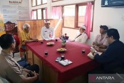 Pemkab Bangli berharap PT Songgolangit Persada beri solusi serbuan lalat di Kintamani