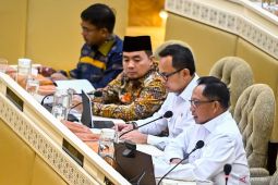 Mendagri ungkap Presiden pilih 20 Februari untuk pelantikan kepala daerah