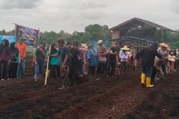 PT Timah - Polsek Kundur dukung tanam satu juta jagung
