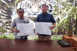 PT Timah - PLN tingkatkan kapasitas listrik efisienkan operasional