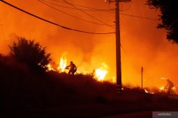 California berjuang lawan karhutla terbesar, 70.800 ha terbakar