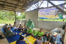 Serap gabah beras petani lokal, Pemkot Tangerang gandeng Bulog