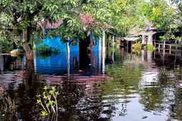 Ratusan rumah warga di pesisir Bengkayang Kalbar terendam banjir