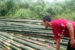 Komoditas bambu di Lebak jadi andalan ekonomi warga