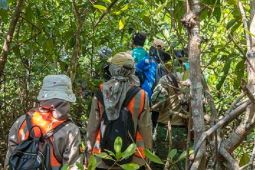 Dishut Malut  komitmen tingkatkan kelestarian hutan