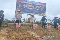 Gunung Mas ditargetkan tanam 31 ribu hektare jagung