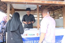 Bank Kalsel buka layanan laku pandai perluas inklusi keuangan
