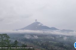 Gunung Semeru erupsi, tinggi letusan capai 800 meter di atas puncak