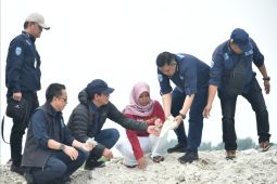 Pengerukan pasir di Pulau Pari ilegal