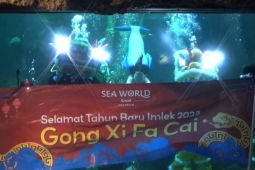 Ancol targetkan 190 ribu pengunjung pada pekan libur Imlek 2025