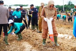 Pemkab Berau manfaatkan  eks lahan sawit untuk ketahanan pangan