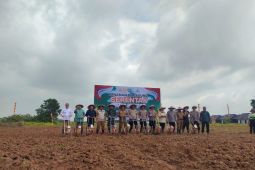 Dukung swasembada pangan, petani Lebak diminta percepat tanam jagung
