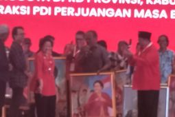 Megawati dapat lukisan dirinya sebagai srikandi