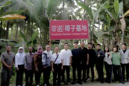 Pemkab Bangkep upaya optimalkan potensi komoditas unggulan kelapa