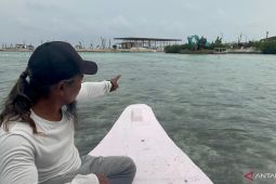 Menjaga mangrove Pulau Pari Kepulauan Seribu Jakarta