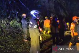 Pengendara diminta tetap waspada longsor meski jalur Puncak sudah dapat dilalui