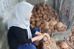 Kisah Transformasi Usaha Nuriah bersama PT Timah