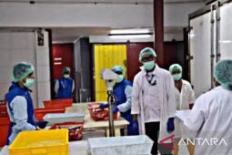 BPPMHKP KKP Ambon gencarkan sertifikasi budi daya di unit pengelola ikan