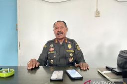 Balai Karantina Papua Pegunungan larang memasukan ternak babi