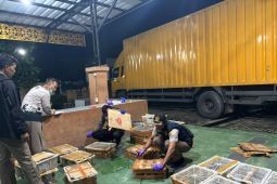 Petugas gagalkan penyelundupan 444 ekor burung tanpa dokumen di Pelabuhan Bakauheni