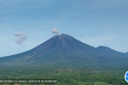 Gunung Semeru erupsi 10 kali dengan tinggi letusan hingga 1 kilometer