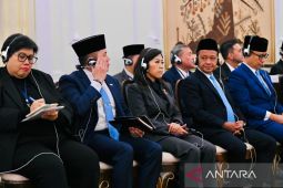 India can boost Indonesia's coal, nickel downstreaming: minister