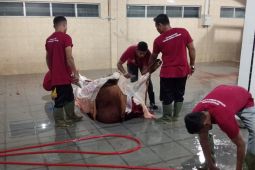 RPH Lambaro sediakan layanan lengkap mudahkan masyarakat