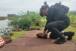 Warga Aceh temukan bom proyektil diduga peninggalan Belanda