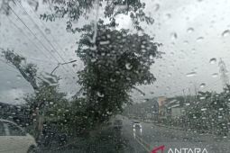 BMKG prakirakan sejumlah wilayah di Indonesia berpotensi hujan disertai petir