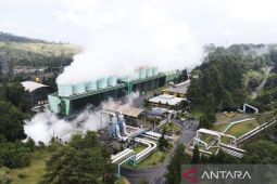 Layanan listrik hijau PLN naik 117 persen di tahun 2024