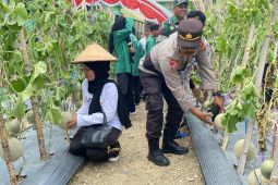 Polres Bursel panen raya bersama warga dukung ketahanan pangan