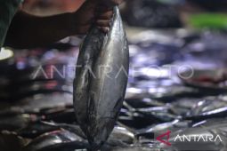 Gubernur Maluku terpilih gagas hilirisasi sektor  perikanan