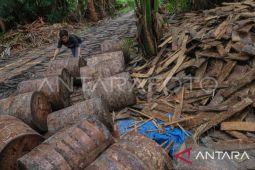 Distan Maluku gagas pogram  Mata Sagu untuk ketahanan pangan