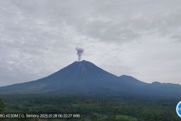 Semeru kembali alami erupsi beberapa kali dengan letusan hingga 1 km