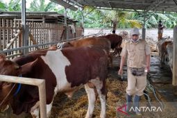 Pemkab Bekasi antisipasi sebaran PMK hewan ternak usai ada peningkatan kasus