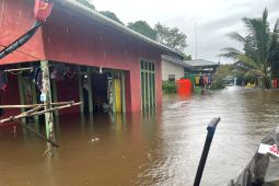 Ratusan rumah masyarakat perbatasan Kalbar-Malaysia masih terendam banjir
