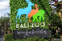 Pengunjung Bali Zoo naik 100 persen saat libur Isra Miraj-Imlek