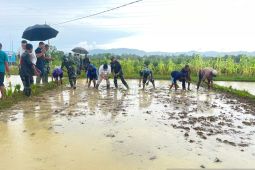 BI NTT-TNI kolaborasi swasembada pangan di perbatasan
