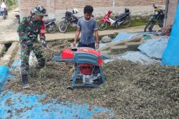 Kodim 1401  bina petani Majene kembangkan nilam