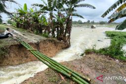 Tanggul jebol akibatkan persawahan terendam di Desa Masiraan HST