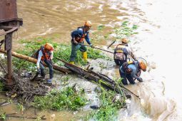 Pemkot Kediri: Dahan dan bambu dominasi sampah di kaki Jembatan Lama