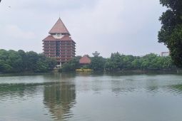 Akademisi UI sebut konten kreatif harus disesuaikan dengan norma masyarakat