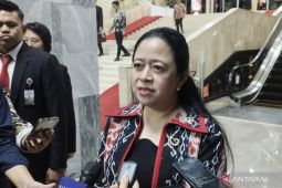 Puan: Kasus kekerasan seksual eks Kapolres Ngada fenomena gunung es
